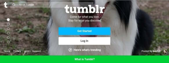 Launch the browser and visit tumblr website