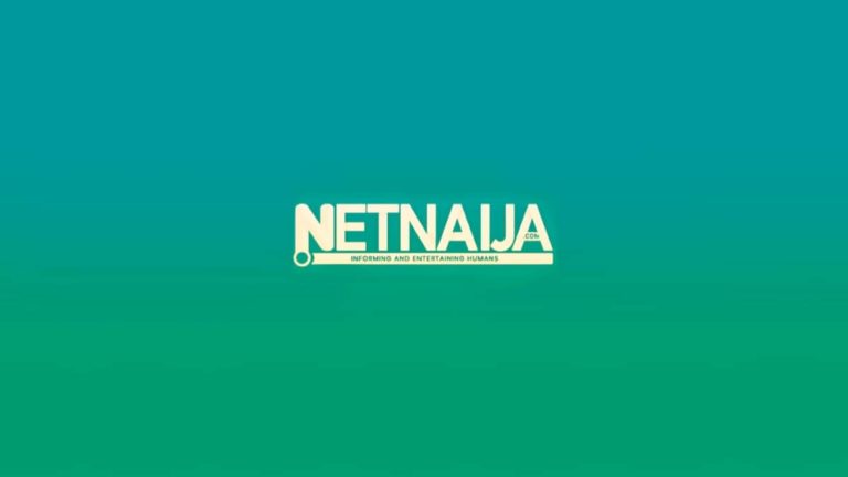 NetNaija: Download Nollywood, Hollywood & Yoruba Movies (2021) - Zerofy.ng